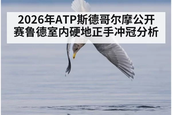 2026年ATP斯德哥尔摩公开赛鲁德室内硬地正手冲冠分析
